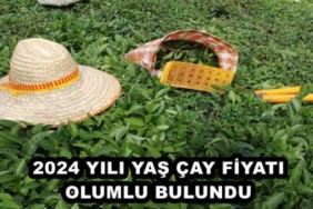 2024_yili_yas_cay_fiyati_olumlu_bulundu_h47365_de668