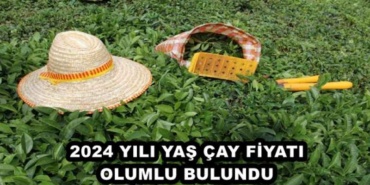 2024_yili_yas_cay_fiyati_olumlu_bulundu_h47365_de668
