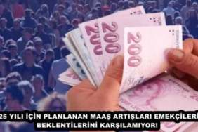 2025_yili_icin_planlanan_maas_artislari_emekcilerin_beklentilerini_karsilamiyor_h49755_05858