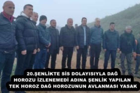 20senlikte_sis_dolayisiyla_dag_horozu_izlenemedi_adina_senlik_yapilan_tekhoroz_dag_horozunun_avlanmasi_yasak_h53534_7ddda