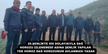 20senlikte_sis_dolayisiyla_dag_horozu_izlenemedi_adina_senlik_yapilan_tekhoroz_dag_horozunun_avlanmasi_yasak_h53534_7ddda