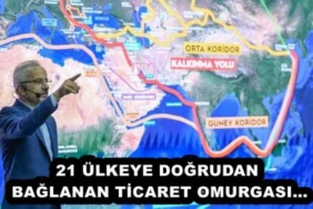 21_ulkeye_dogrudan_baglanan_ticaret_omurgasi_h53758_39016