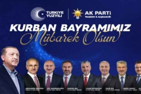 ak_parti_h58669_4f215