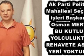 ak_parti_pelitli_mahallesi_secim_isleri_baskani_osman_mert_bu_kutlu_yolculukta_rehavete_asla_yeri_yoktur_h51749_1369f
