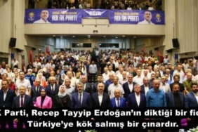 ak_parti_recep_tayyip_erdoganin_diktigi_bir_fidan_turkiyeye_kok_salmis_bir_cinardir_h48579_64f64
