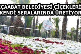 akcaabat_belediyesi_ciceklerini_kendi_seralarinda_uretiyor_h58155_3a676
