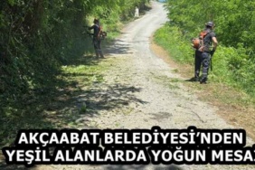 akcaabat_belediyesinden_yesil_alanlarda_yogun_mesai_h58977_5f394