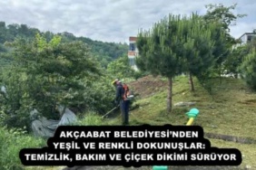akcaabat_belediyesinden_yesil_ve_renkli_dokunuslar_temizlik_bakim_ve_cicek_dikimi_suruyor_h53574_42bf8
