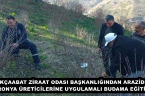 akcaabat_ziraat_odasi_baskanligindan_arazide_aronya_ureticilerine_uygulamali_budama_egitimi_h46158_d472d