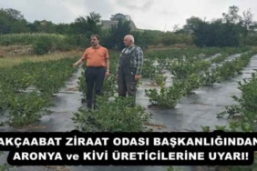akcaabat_ziraat_odasi_baskanligindan_aronya_ve_kivi_ureticilerine_uyari_h54204_d635b