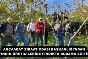 akcaabat_ziraat_odasi_baskanligindan_findik_ureticilerine_findikta_budama_egitimi_h55506_bcc2b