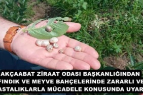 akcaabat_ziraat_odasi_baskanligindan_findik_ve_meyve_bahcelerinde_zararli_ve_hastaliklarla_mucadele_konusunda_uyari_h48255_70817