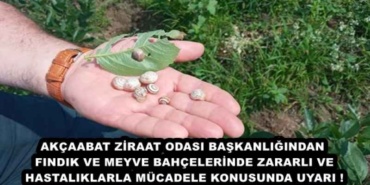 akcaabat_ziraat_odasi_baskanligindan_findik_ve_meyve_bahcelerinde_zararli_ve_hastaliklarla_mucadele_konusunda_uyari_h48255_70817