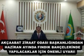 akcaabat_ziraat_odasi_baskanligindan_haziran_ayinda_findik_bahcelerinde_yapilacaklar_icin_onemli_uyari_h53375_ad2fc