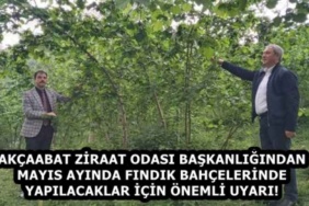 akcaabat_ziraat_odasi_baskanligindan_mayis_ayinda_findik_bahcelerinde_yapilacaklar_icin_onemli_uyari_h58361_c613f