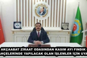 akcaabat_ziraat_odasindan_kasim_ayi_findik_bahcelerinde_yapilacak_olan_islemler_icin_uyari_h49961_385bd