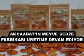 akcaabatin_meyve_sebze_fabrikasi_uretime_devam_ediyor_h56640_21643