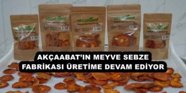 akcaabatin_meyve_sebze_fabrikasi_uretime_devam_ediyor_h56640_21643