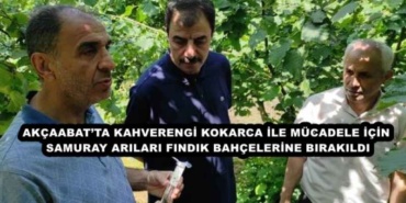 akcaabatta_kahverengi_kokarca_ile_mucadele_icin_samuray_arilari_findik_bahcelerine_birakildi_h47813_652be