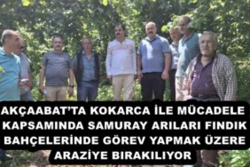 akcaabatta_kokarca_ile_mucadele_kapsaminda_samuray_arilari_findik_bahcelerinde_gorev_yapmak_uzere_araziye_birakiliyor_h53789_77fd7