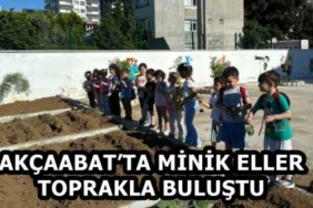 akcaabatta_minik_eller_toprakla_bulustu_h58835_a2f78