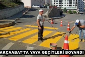 akcaabatta_yaya_gecitleri_boyandi_h49115_a1c5c
