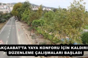 akcaabatta_yaya_konforu_icin_kaldirim_duzenleme_calismalari_basladi_h54600_a06b1