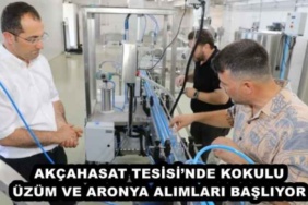 akcahasat_tesisinde_kokulu_uzum_ve_aronya_alimlari_basliyor_h48762_c63e0