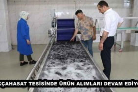 akcahasat_tesisinde_urun_alimlari_devam_ediyor_h49312_a97db