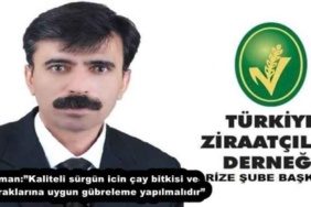 akmankaliteli_surgun_icin_cay_bitkisi_ve_topraklarina_uygun_gubreleme_yapilmalidir_h52107_8f413