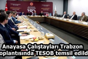anayasa_calistaylari_trabzon_toplantisinda_tesob_temsil_edildi_h58819_ce816