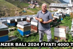 anzer_bali_2024_fiyati_4000_tl_h48620_019f0
