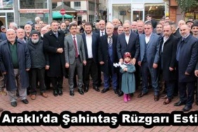 araklida_sahintas_ruzgari_esti_h45935_521b3