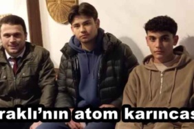 araklinin_atom_karincasi_h45441_362f5