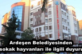 ardesen_belediyesinden_sokak_hayvanlari_ile_ilgili_duyuru_h52105_759e5