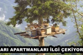 ari_apartmanlari_ilgi_cekiyor_h53460_f4817