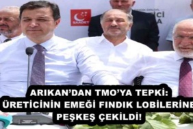 arikandan_tmoya_tepki_ureticinin_emegi_findik_lobilerine_peskes_cekildi_h54397_ddf9b