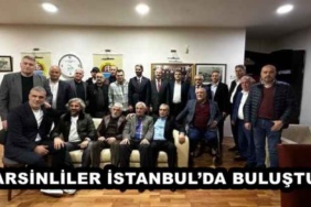 arsinliler_istanbulda_bulustu_h46470_ff65f