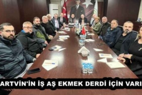 artvin_in_is_as_ekmek_derdi_icin_variz_h56708_a2fbb