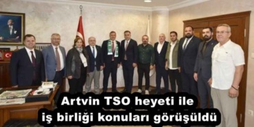 artvin_tso_heyeti_ile_is_birligi_konulari_gorusuldu_h53167_40bb9