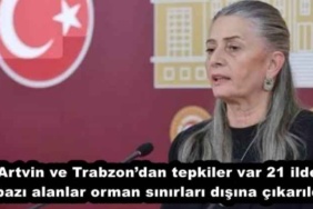 artvin_ve_trabzondan_tepkiler_var_21_ilde_bazi_alanlar_orman_sinirlari_disina_cikarildi_h57258_16274