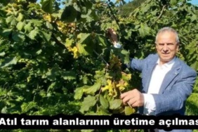 atil_tarim_alanlarinin_uretime_acilmasi_h51325_b42f2