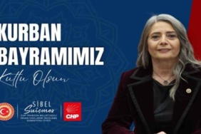 av_sibel_suicmez_h58676_5a853