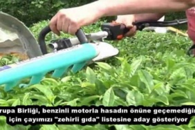 avrupa_birligi_benzinli_motorla_hasadin_onune_gecemedigimiz_icin_cayimizi_zehirli_gida_listesine_aday_gosteriyor_h47423_569a5