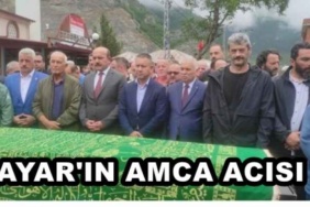ayar_in_amca_acisi_h48054_91e12