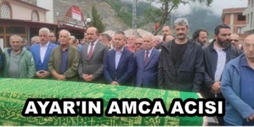 ayar_in_amca_acisi_h48054_91e12