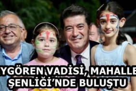 aygoren_vadisi_mahalle_senliginde_bulustu_h59402_6f0bf