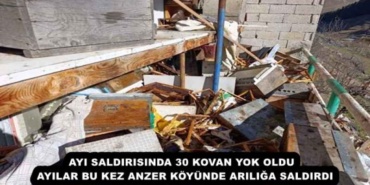 ayi_saldirisinda_30_kovan_yok_oldu_ayilar_bu_kez_anzer_koyunde_ariliga_saldirdi_h55667_6c551