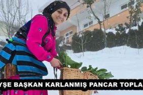 ayse_baskan_karlanmis_pancar_topladi_h51486_be762