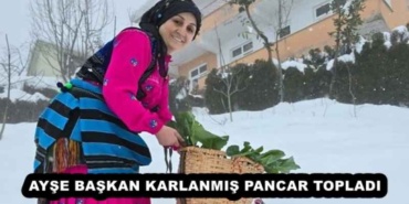 ayse_baskan_karlanmis_pancar_topladi_h51486_be762